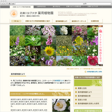 薬用植物園